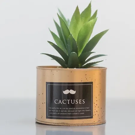 Apartament Drsrome - Colosseum Loft